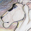  Ebon