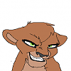 Kotari