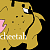 cheetah(ange)