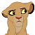 Meeko