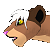Usiku