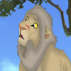 Kima (LF)