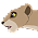 Kuna