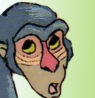 Mosi (Baboon)