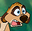 Choga