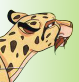 Speedy (Official)