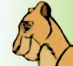 Simba's Aunt (Comic)