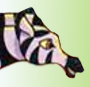 Stripey