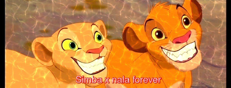 Simba x nala forever