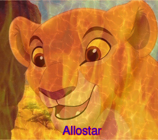 Gift for allostar