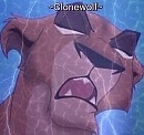 Clonewolf gift
