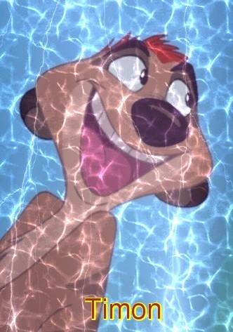 Timon avatar