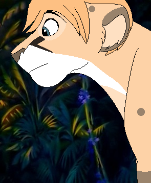 Looking Over The Jungle