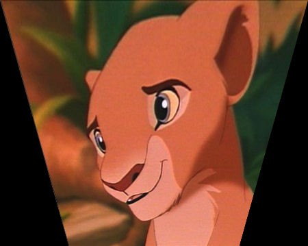 Nala Cub??