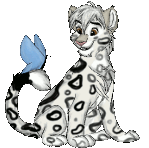 Kristal The Snow Leopard