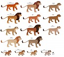 Bahari Pride