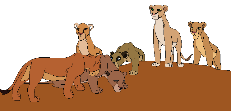 My lionesses! :D