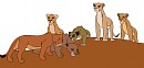 My lionesses! :D