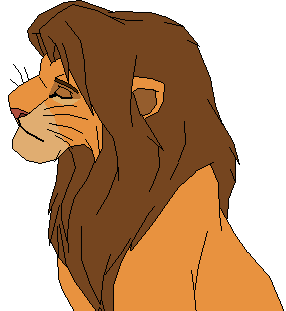 Kopa