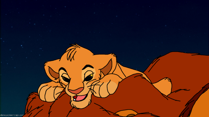 Shida and Simba