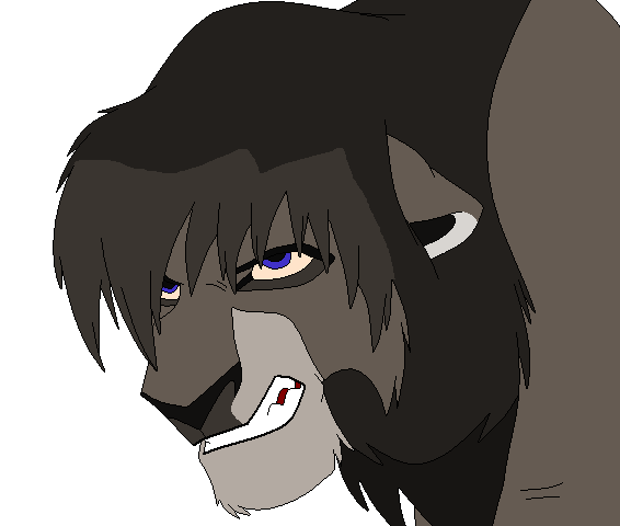 Another adoptable