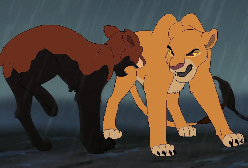 The Last Fight