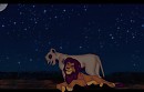 Brille sous les étoiles