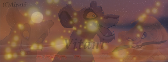 .:: Vitani Signature ::.