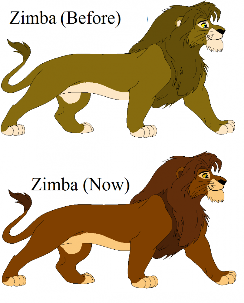 Re-Desgining Zimba 