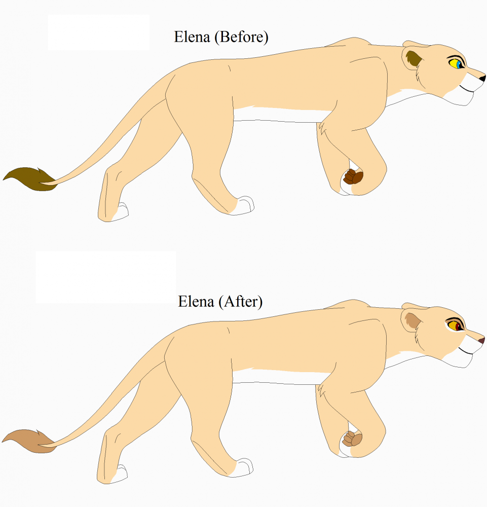 Re-Desgining Elena 