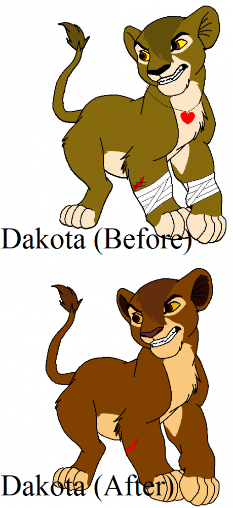 Re-Desgining Dakota