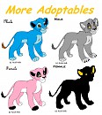 Lion and Lioness Adoptables 3