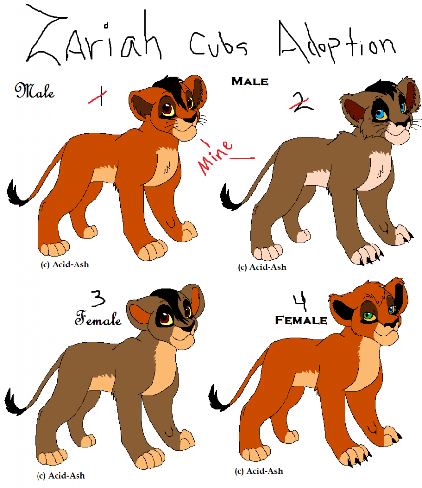 Zariah's Cubs ADOPTION