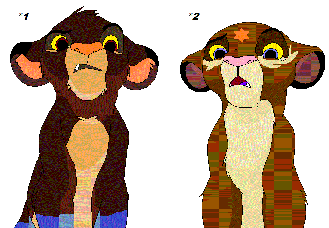 2nd adopts