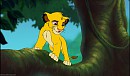 Simba