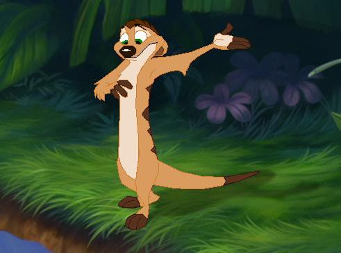 Meerkat Character?