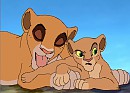 1.Adoptions