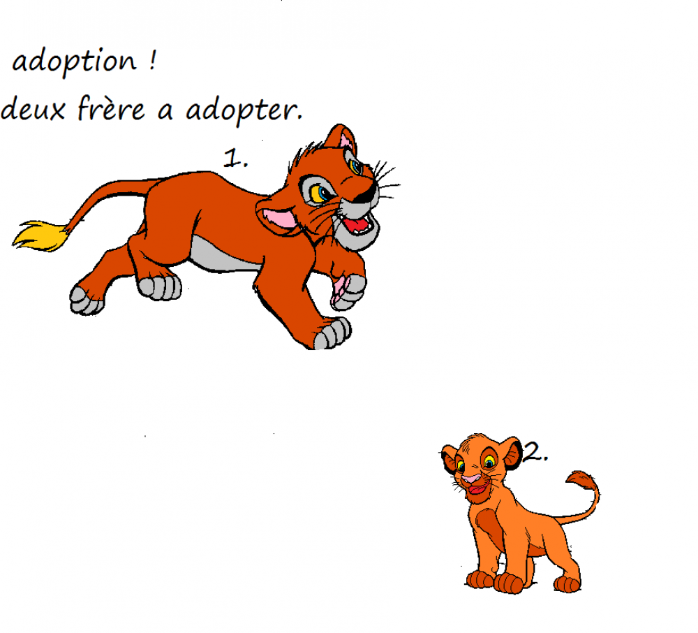 adoption de deux frère. 