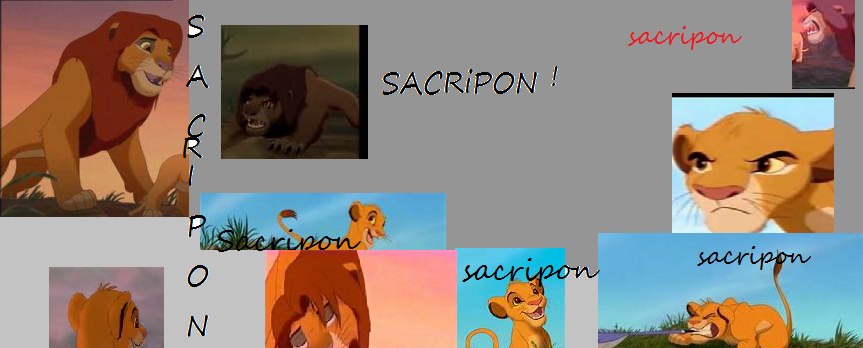 collage simba pour sacri !