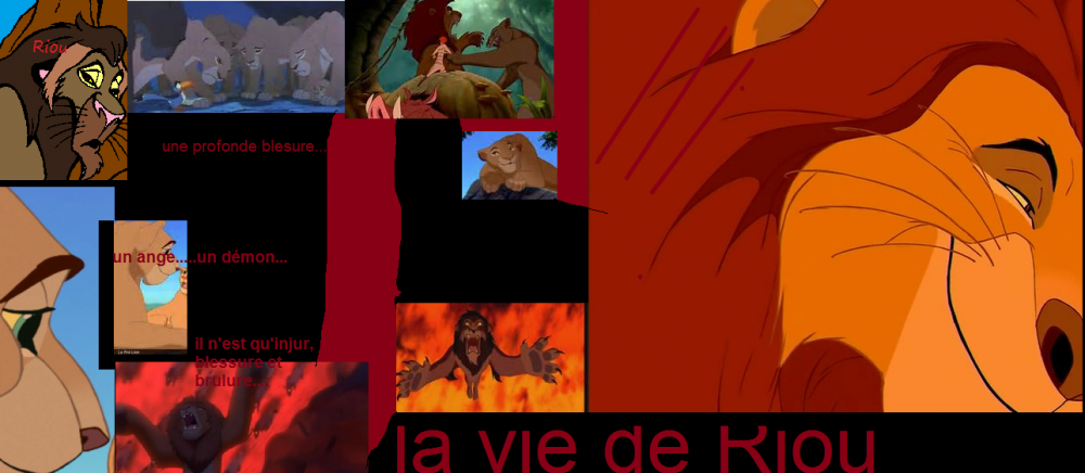la vie de Riou.