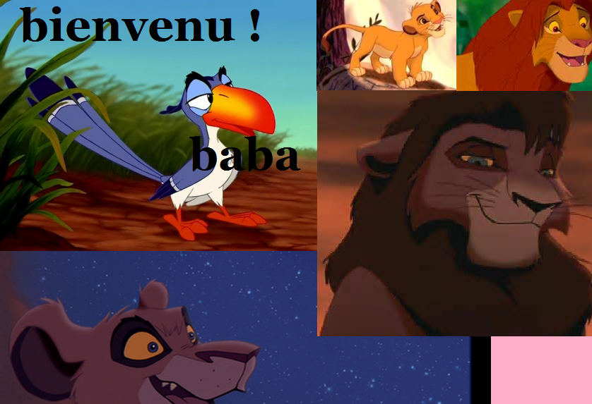 bienvenu baba !