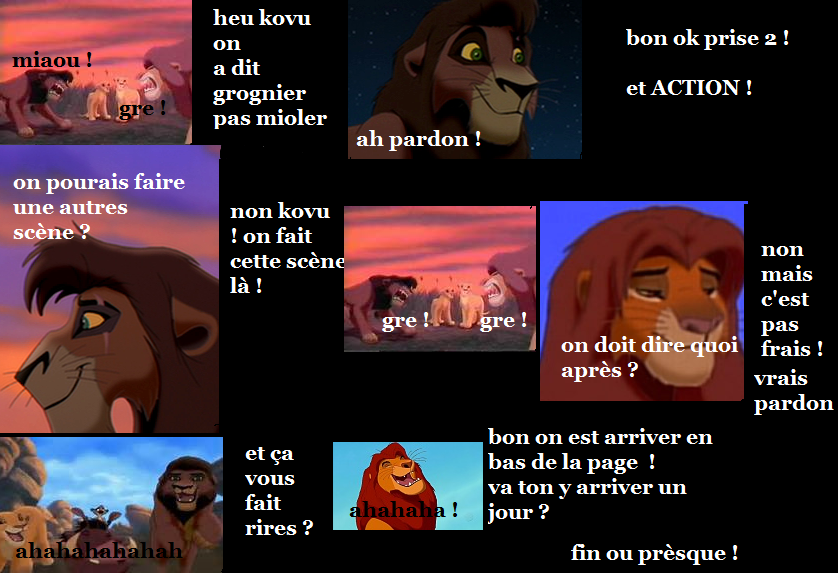 BD parodie le roi lion 2...!