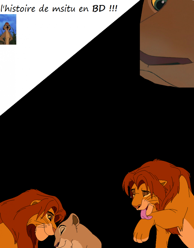couverture de la BD msitu...