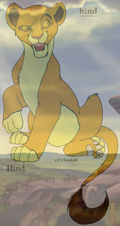 Hind for simby