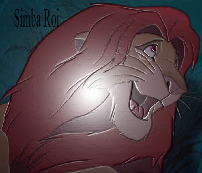 cadeau pour Simba Roi 
