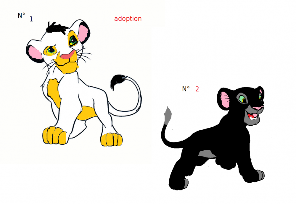adoption