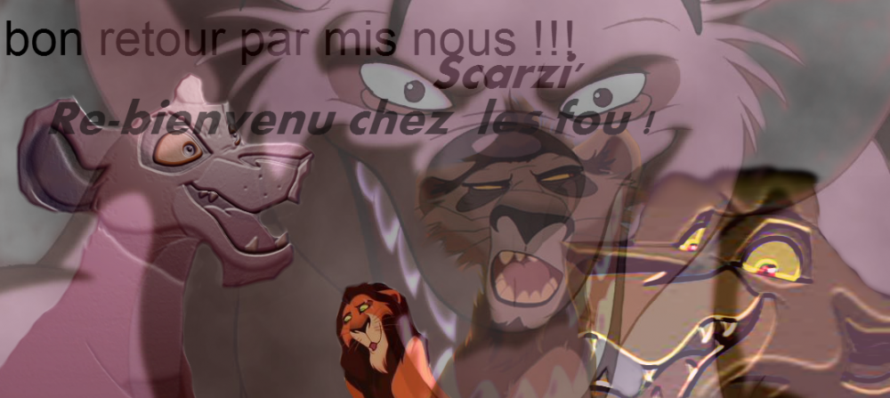 cadeau pour scarzi'