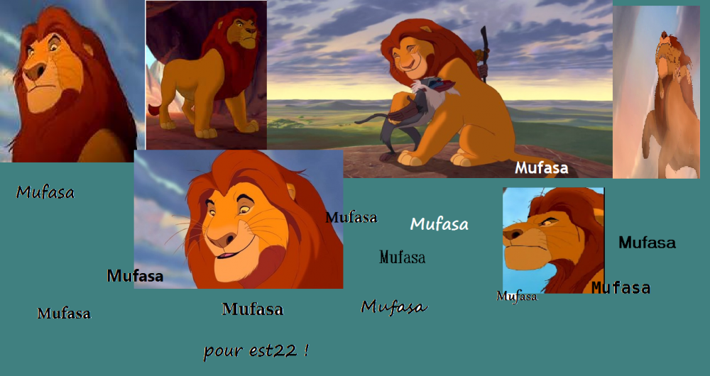 Mufasa pour ...