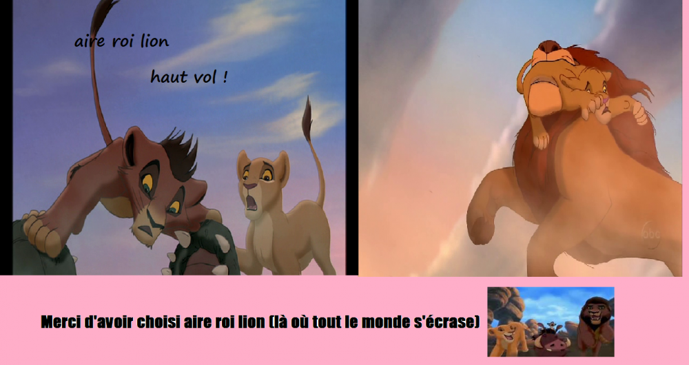 le roi lion. 