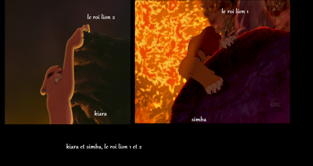 le roi lion....... 